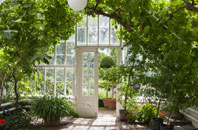 free Peters Finger orangery quotes